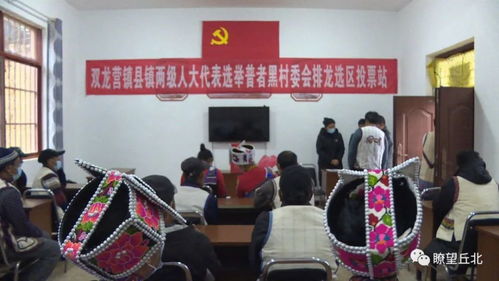 村民自治的心脏—深入理解村委会换届选举