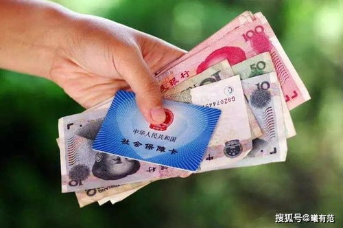 个人社保缴费，保障未来，从了解开始