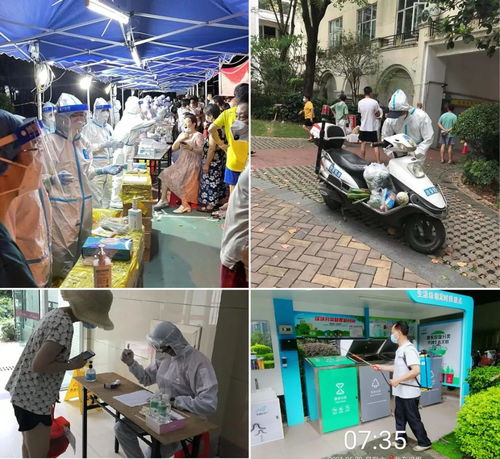 湖南怀化，疫情阴霾下的曙光与挑战