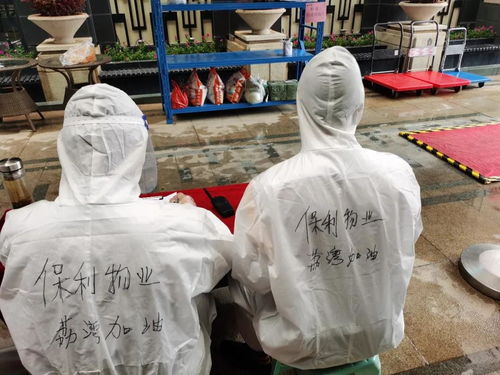 湖南怀化，疫情阴霾下的曙光与挑战