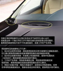 掌握机动车行驶证查询，保障您的车辆信息安全与合规