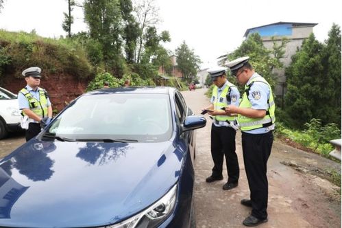 掌握机动车行驶证查询，保障您的车辆信息安全与合规