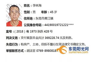 一篇文章带你深入了解失信被执行人查询