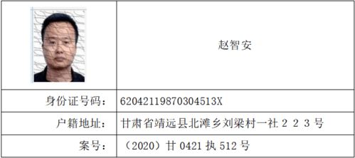 一篇文章带你深入了解失信被执行人查询