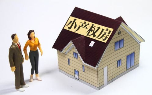 小产权房清理指南，让家更安全，让生活更美好