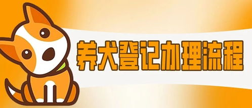 小产权房清理指南，让家更安全，让生活更美好