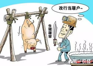 餐桌上的安全守护者，生猪屠宰管理条例的奥秘