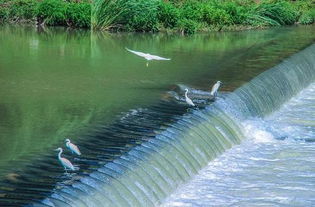 河道工程修建维护费，保护水资源的隐形英雄