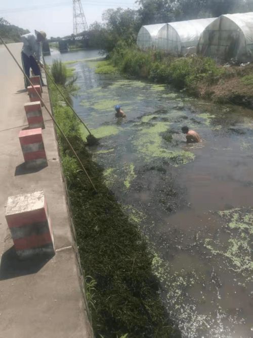 河道工程修建维护费，保护水资源的隐形英雄