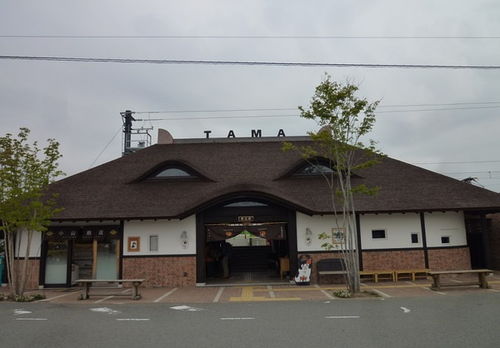 代县房屋出租，为您的生活添砖加瓦