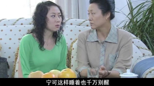 我的婆家我的娘全集，家庭情感与文化传承的交织