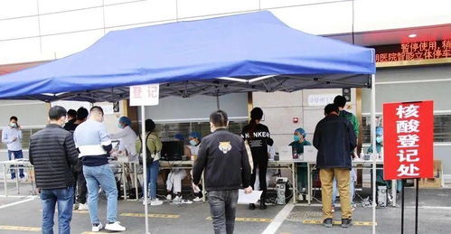 东莞新莞人服务管理局，城市发展的桥梁与纽带