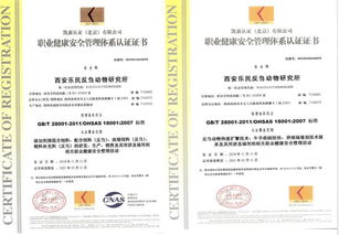 法律顾问考试报名全攻略，如何顺利迈出法律职业的第一步