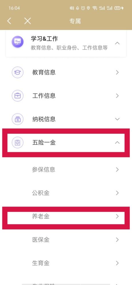 养老保险查询全攻略，掌握这些方法，轻松了解你的缴费情况