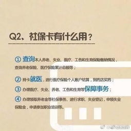 网络安全的守护者，了解网警举报网站的重要性与使用指南