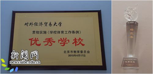 学校体育工作条例，塑造健康未来，从校园体育开始