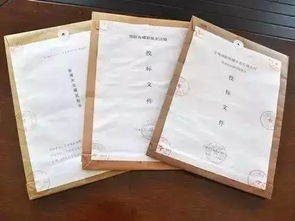 深入解析，施工投标文件的编制技巧与关键要点