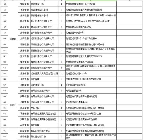 深圳社保明细查询，掌握您的权益，保障未来生活