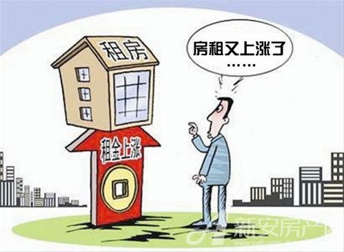 东营房屋出租，市场分析、策略与实用指南