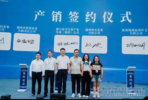 暂时进出口，贸易新策略与企业机遇