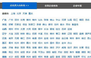 工商年检网上申报流程，简化步骤，轻松完成