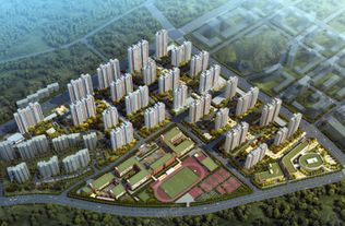 济南限购令，守护家园，共筑梦想之城