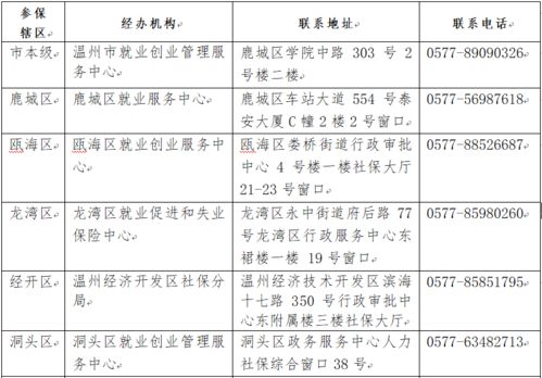 大学生失业补助金，了解、申请与未来规划
