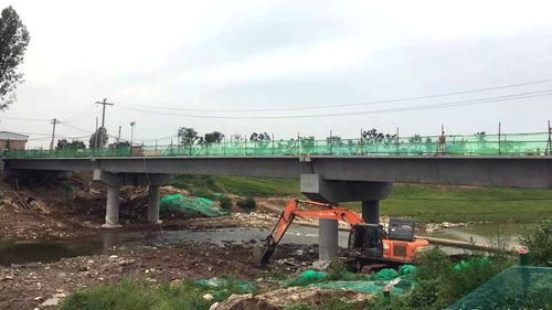 保定市长热线，连接市民与政府的桥梁