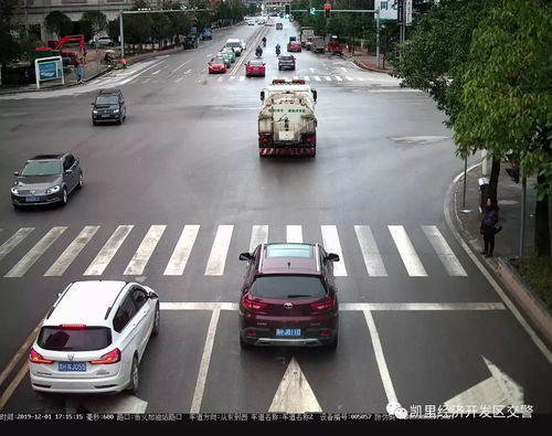 红灯亮时，交通信号灯的规则与安全驾驶