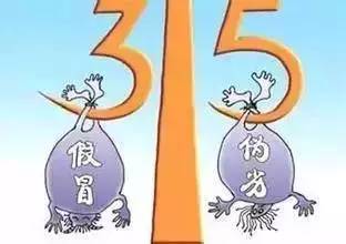 315消费者投诉平台，维权的利器还是形式主义的陷阱？