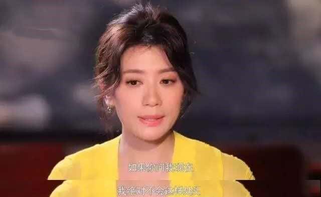 贾静雯与前夫的抚养权之争，明星家庭的法律与情感纠葛