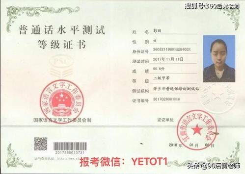 如何轻松获取法人代表证明书下载指南