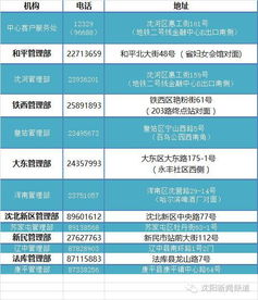 沈阳工商年检网上申报，简化流程，助力企业高效运营