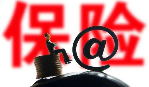 保险索赔函，如何撰写、提交及注意事项