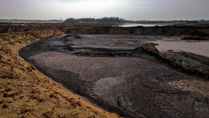 中卫林区污染事件，真相、影响与反思