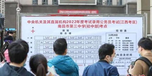 村支书选举，基层民主的实践与挑战