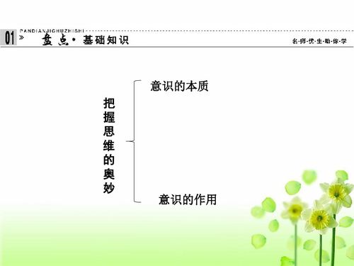 解锁法律智慧，2013年司法考试真题的奥秘与启示