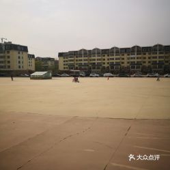 哈尔滨手递手网，连接冰城生活的桥梁