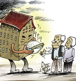 以房养老，安享晚年的新选择