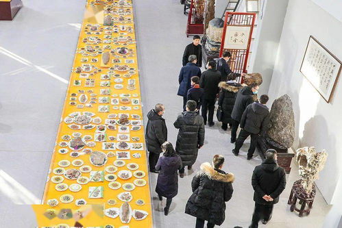 哈密疫情动态，守护健康，共筑防线