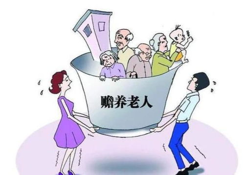 60岁以上老人的养老保险，保障与智慧的结合