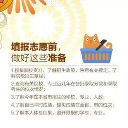 应届生如何顺利步入职场，实用指南与建议