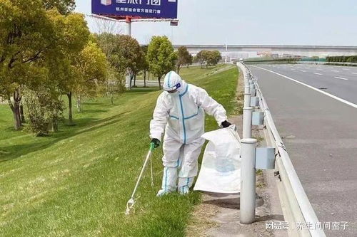 苏州高速路废弃物阳性样本，如何理解与应对