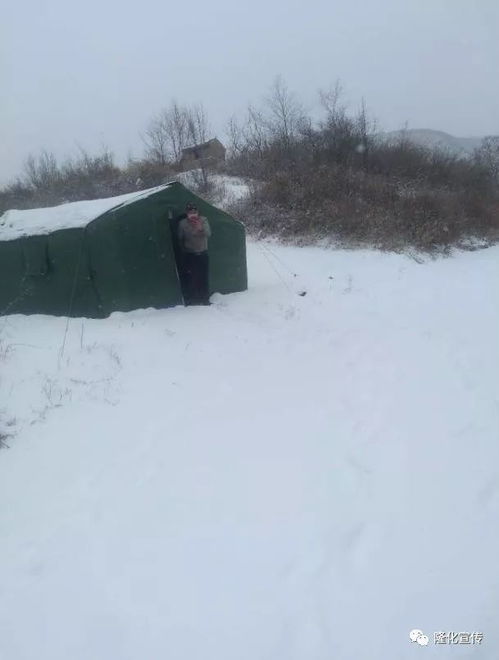 青县疫情新动态，了解最新通告，共同守护健康