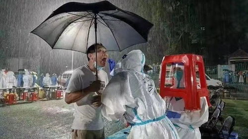 疫情新动态，31省份昨日新增5例本土死亡病例，涉及5省的严峻挑战