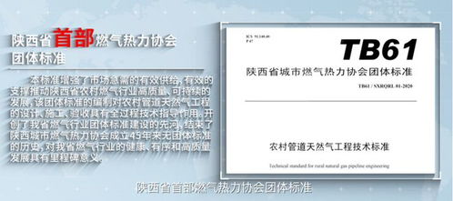 深入解析设计施工一体化资质，企业竞争力的关键