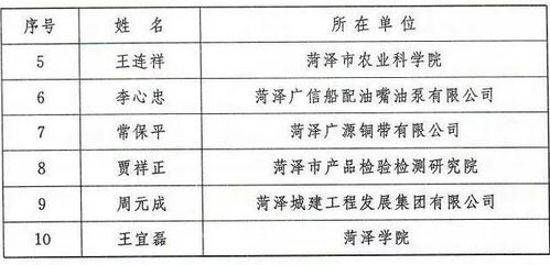 48号文件，解锁政策红利，引领发展新篇章