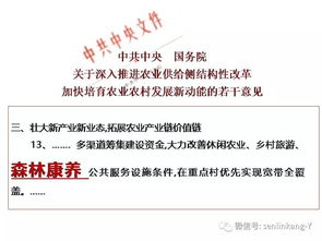 48号文件，解锁政策红利，引领发展新篇章
