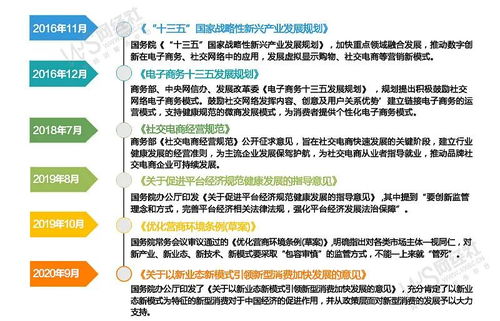 48号文件，解锁政策红利，引领发展新篇章