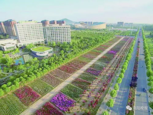 绿色生活，从了解绿化覆盖率开始